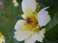13_06_2019 (41).webp