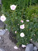 13_06_2019 (36).webp