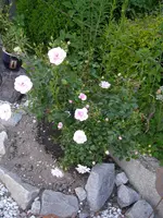 13_06_2019 (35).webp
