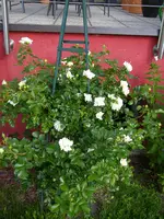 13_06_2019 (48).webp