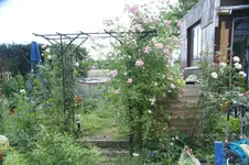 DSC07825.webp