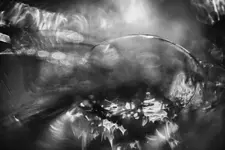 Jules Verne.webp