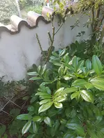 20190614_080004_resized.webp