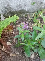 20190614_080106_resized.webp
