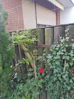 20190614_080113_resized.webp