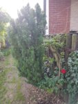 20190614_080132_resized.jpg
