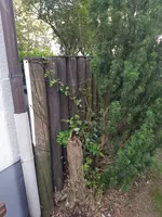 20190614_080142_resized.jpg