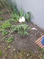20190614_080148_resized.webp