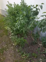 20190614_080157_resized.webp