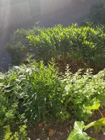 20190614_080222_resized.webp