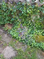 20190614_080257_resized.jpg