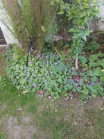 20190614_080301_resized.webp