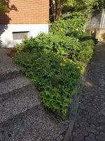 20190614_080449_resized.webp