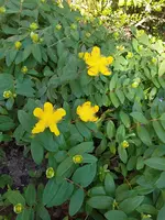 20190614_080459_resized.webp