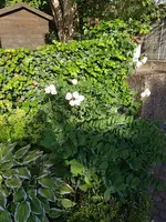 20190614_080516_resized.jpg