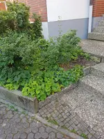 20190614_080537_resized.webp