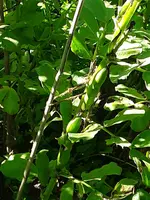 20190614_085036.webp