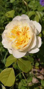 IMG-20190609-WA0006.webp