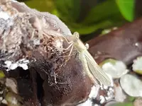 20190614_134159.webp