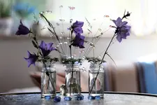 image002.webp