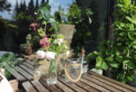 Balkon 14.04.19 6.JPG