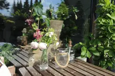 Balkon 14.04.19 6.webp