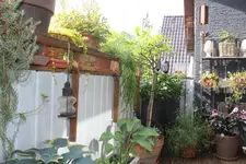 Balkon 14.06.19 4.JPG