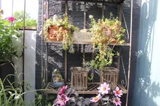 Balkon 14.06.19 5.JPG