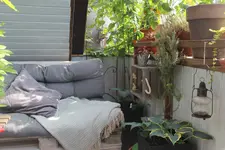 Balkon 14.06.19 7.JPG
