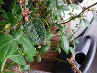 IMG_20190614_193829.webp