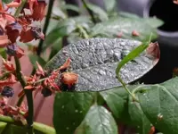 IMG_20190614_193842.webp
