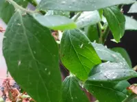 IMG_20190614_193847.webp