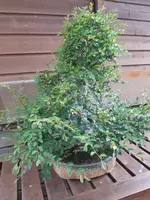 20190614_180451.webp