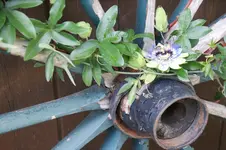 DSC07829.webp