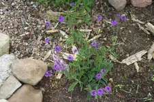 DSC07832.webp