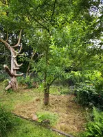 IMG_20190614_195931.webp