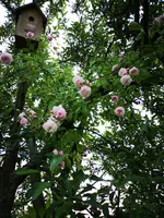 IMG_20190614_195940.webp