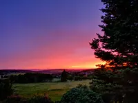 IMG_20190614_213225.webp
