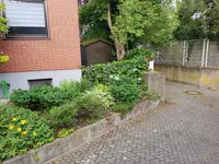 20190615_071453.webp
