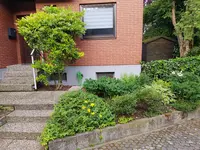 20190615_071451.webp