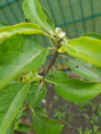 20190615_101324.jpg