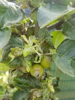 20190615_101401.webp