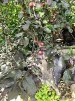IMG_20190615_165641.webp