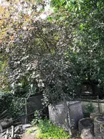 IMG_20190615_165628.webp