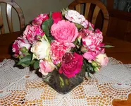 SAM_0989.webp