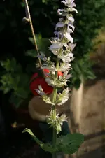 DSC07834.webp