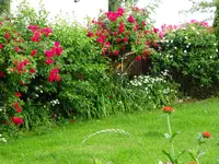 DSC00420.JPG