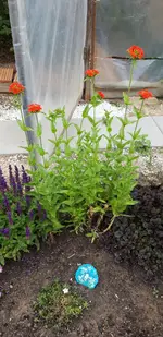 20190614_170613.webp