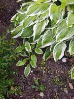 20190616_071207.webp