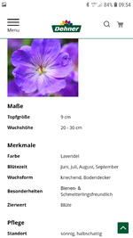 Screenshot_20190616-095415_Chrome.webp